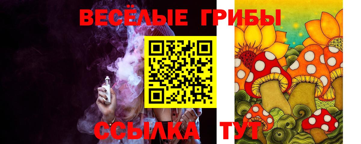 Галлюциногенные грибы мухоморы Строитель