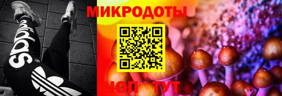Галлюциногенные грибы мицелий  Вход с VPN  Строитель 